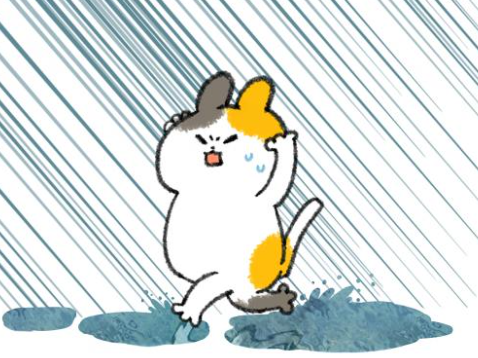 台風🌀